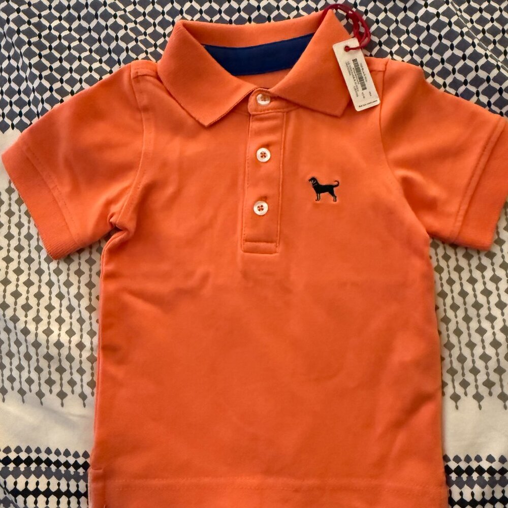 Black Dog Infant Polo Shirt